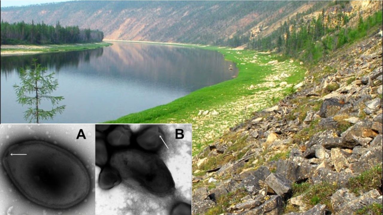 liqeni siberian 1280x720