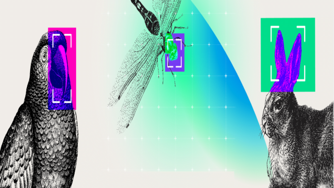 Një udhëzues i thjeshtë për të kuptuar Inteligjencën Artificiale ia 1280x720