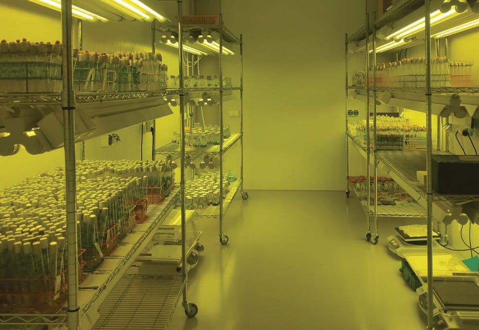 Banka e 5222 varieteteve, si ruhen dhe trashëgohen farat Ads