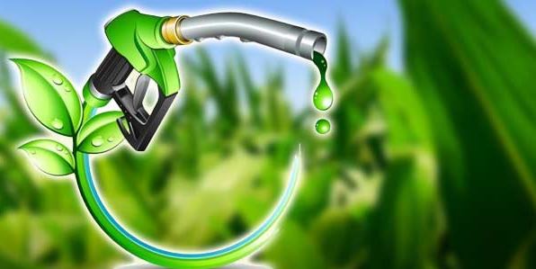 Biokarburantet, 10 vjet pa taksa – Kërkesa e hershme e grupeve të interesit, projektligji: Përjashtohen nga regjimi fiskal
