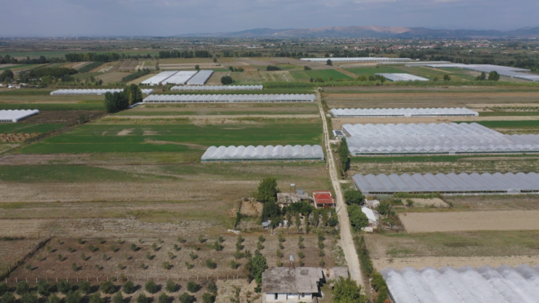 SIGURIMET NE BUJQESI frame 710 1280x720