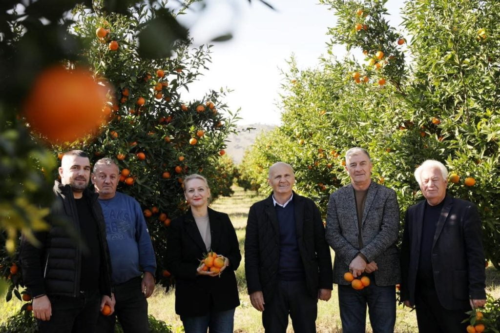 Denaj nga Konispoli: Përmirësimi i infrastrukturës ujitëse dhe energjetike do rrisë prodhimin bujqësor!