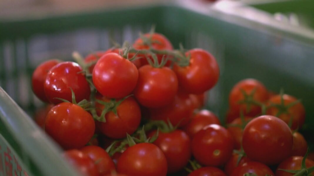 kr domatja hi tech frame 2677 1280x720