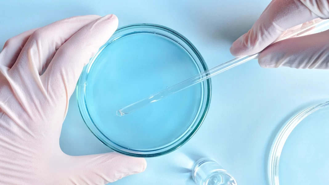 Embrioni i parë sintetik i njeriut është fakt, por sa PROTO NEA MAKETA2