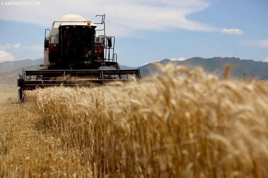 Gjysma e fermerëve skualifikohet nga financimi për grurin – Bilanci Gjysma e fermerëve skualifikohet nga financimi për grurin – Bilanci i fushatës/ 3100 aplikantë fitues, dominon Fieri dhe Korça