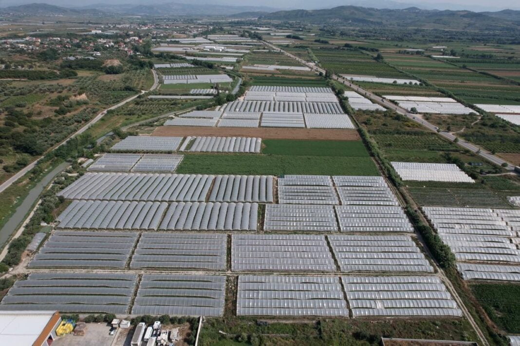 INSTAT: Bujqësia, i vetmi sektor që vijoi zgjerimin e fortë të eksporteve!