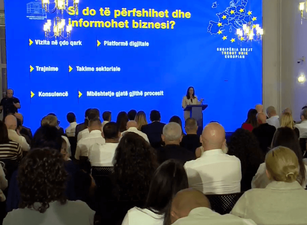 Ibrahimaj: Në tetor nis programi për përgatitjen e 48 mijë bizneseve për tregun e BE-së