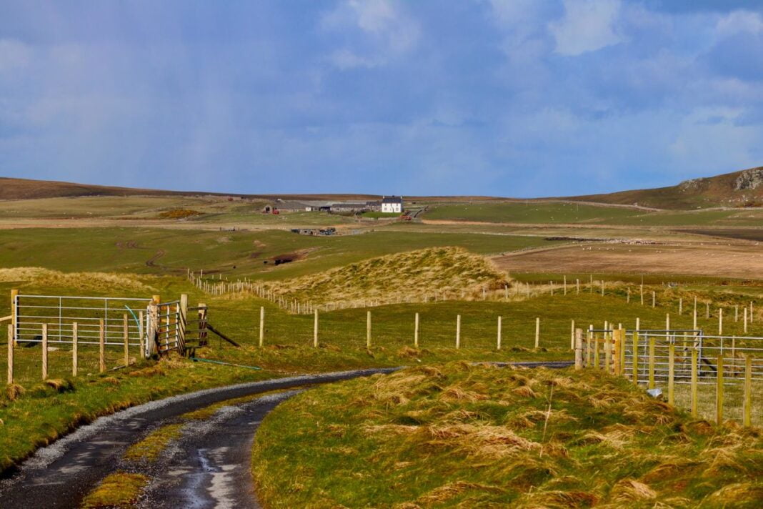 Ishulli i egër dhe i largët në zemër të një industrie miliarda dollarëshe!