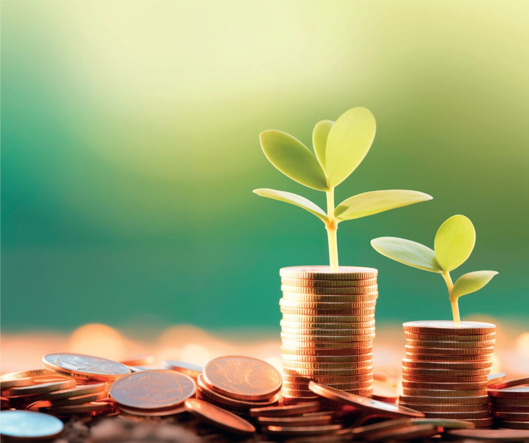 Këtë vit pritet edhe Banka e Zhvillimit