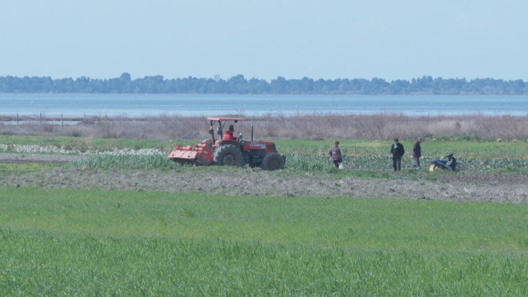 Nafta falas në bujqësi, kanë përfituar vetëm 35% e aplikuesve, KR NAFTA FALAS NE BUJQESI frame 2846 1280x720