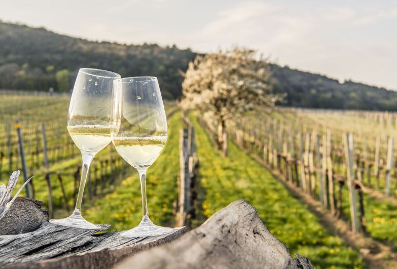 Objektiva ambiciozë për menaxhimin e agroturizmit – Në 100 subjekte Objektiva ambiciozë për menaxhimin e agroturizmit – Në 100 subjekte turistike të certifikuara përllogariten 14.5 milionë euro në vit