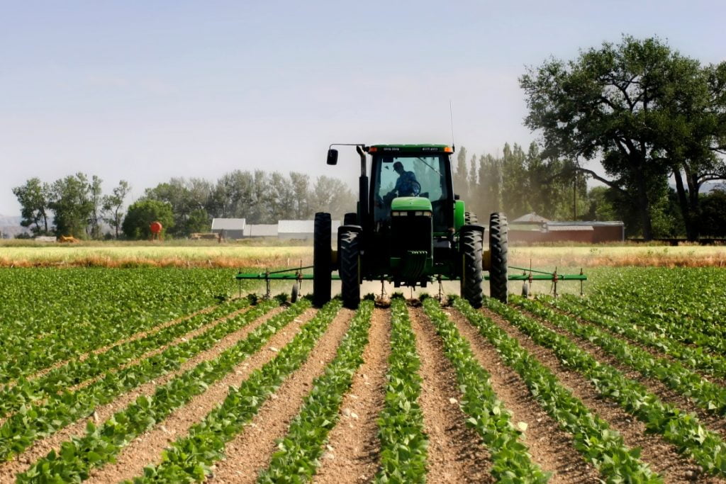 Punësimi, 7 qarqe të Shqipërisë me fokus në bujqësi – Punësimi, 7 qarqe të Shqipërisë me fokus në bujqësi – Për gratë e Kukësit dhe Dibrës, shkalla zyrtare më e lartë se për burrat