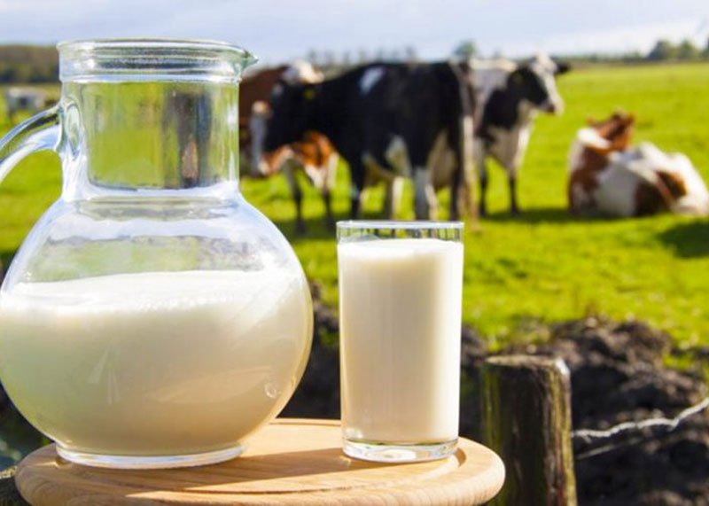 Qeveria dështon me taksën mbi produktet e qumështit – U dëmtuan bizneset, propozohet heqja për hirrën dhe krem qumështin