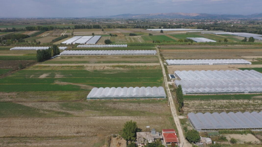 Rritja ekonomike jo te bujqësia, shkak subvencionet e pakta dhe KR BUJQESIA TEK PBB frame 0 1280x720