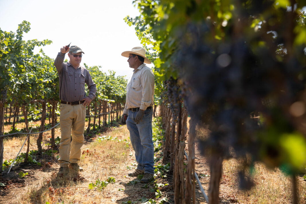 Sa po i nxisin fermerët paratë në bujqësi? – Analiza Sa po i nxisin fermerët paratë në bujqësi? – Analiza e shifrave/ Formalizimi ndër vite, 2023-shi nis mbarë