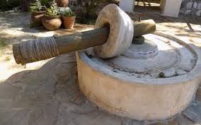 Shkencëtarët rikrijojnë metodën egjiptiane të prodhimit të vajit të ullirit të teknologjisë së lartë!