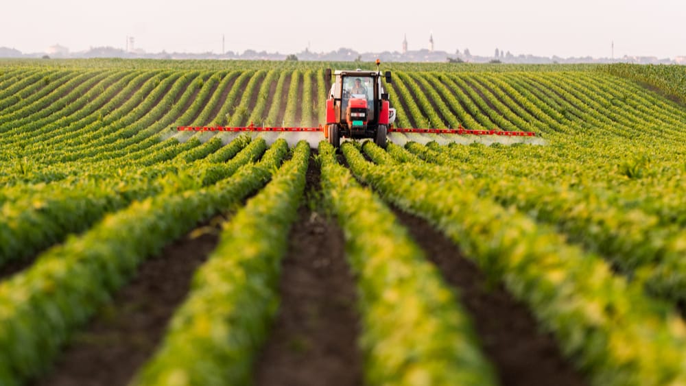 Si do të shpërndahen 15 milionë euro në bujqësi? – Si do të shpërndahen 15 milionë euro në bujqësi? – Skema e investimeve, financim deri 20 mijë euro për aplikant