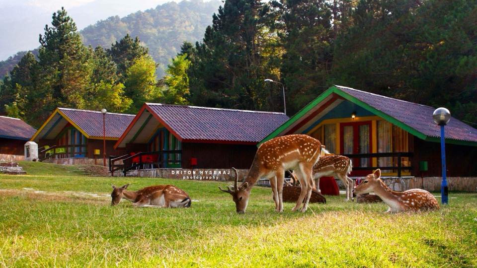 Të dhënat kadastrale, problem për investimet në fshatrat turistikë – Të dhënat kadastrale, problem për investimet në fshatrat turistikë – FSHZH hap tenderin, kërkon kontraktimin e një subjekti për ekspertizën