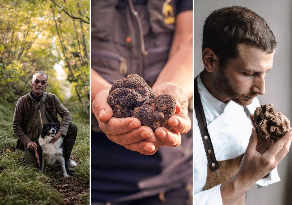 ‘Ari’ italian: Një udhëtim në industrinë prej 60 milionë euro të tartufit!