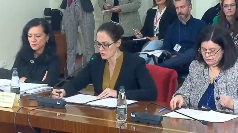Dalina Ibrahimaj - Ministria e Financave