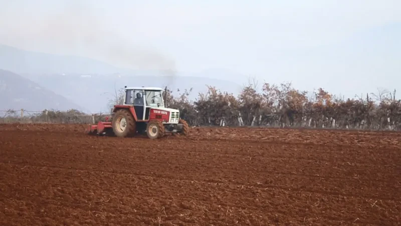 Kukësi, rekord për punësimin në bujqësi në vend