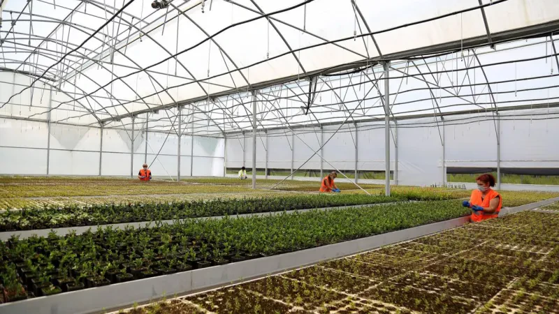 Subvencionet për bujqësinë arritën 22 mln euro në 8-mujorin 2021, 70 % ishin fonde të huaja