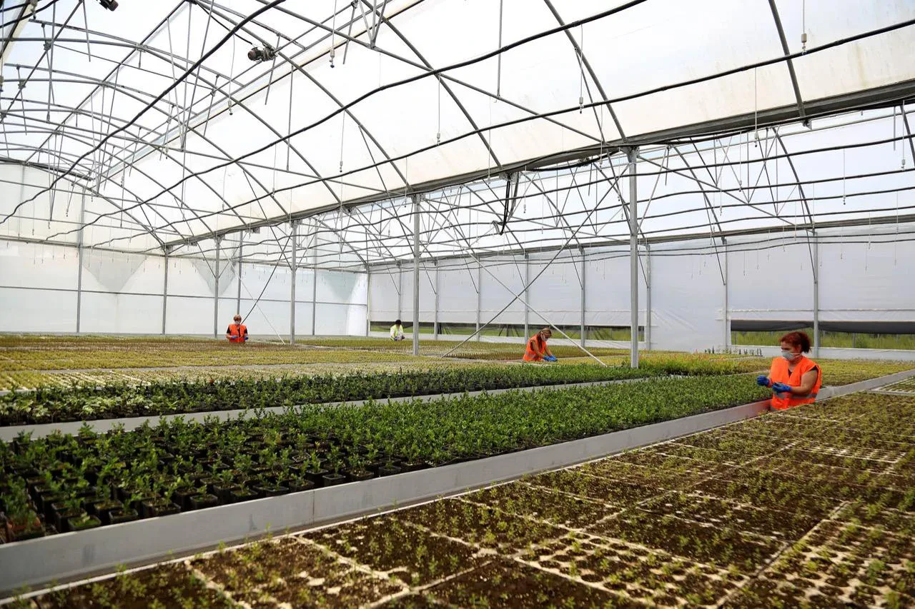Subvencionet për bujqësinë arritën 22 mln euro në 8-mujorin 2021, 70 % ishin fonde të huaja
