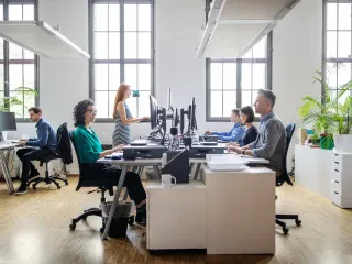 Punonjësit kategorizohen në 6 tipe, sipas studimeve të fundit. Cili tip jeni ju?