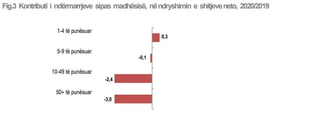 Pandemia falimentoi mbi 1500 biznese në 2020, numri i të punësuarve ra me 5,2%, ndërkohë që më të goditurat ishin turizmi dhe tregtia