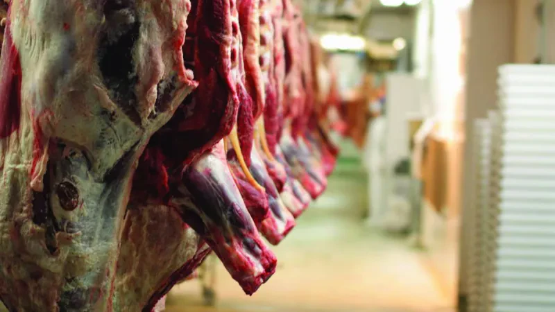 Industria përpunuese, në mbijetesë; Shkodra: Qeveria të nxisë industrializimin e vendit
