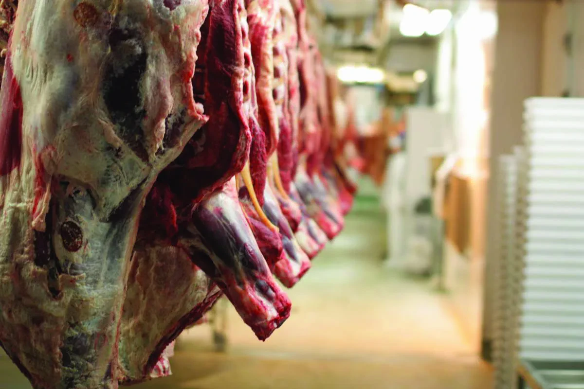Industria përpunuese, në mbijetesë; Shkodra: Qeveria të nxisë industrializimin e vendit