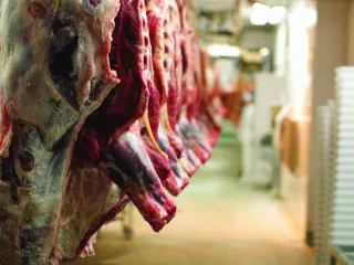 Industria përpunuese, në mbijetesë; Shkodra: Qeveria të nxisë industrializimin e vendit