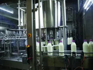 Shqipëria, vendi më bujqësor i Europës, ka prodhimin më të ulët të qumështit për frymë