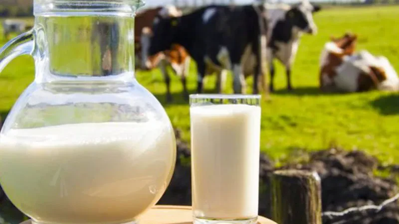 Qeveria dështon me taksën mbi produktet e qumështit – U dëmtuan bizneset, propozohet heqja për hirrën dhe krem qumështin