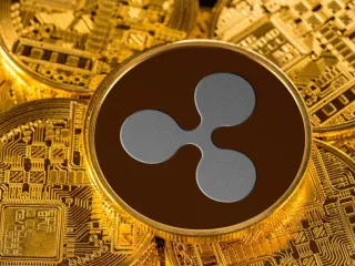 Pse pavarësisht kolapsit të tregut të kriptove Ripple vazhdon të forcohet në mënyrë konstante?!