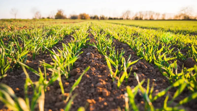 14.2 billion lek budget for agriculture in 2023