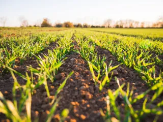 14.2 billion lek budget for agriculture in 2023