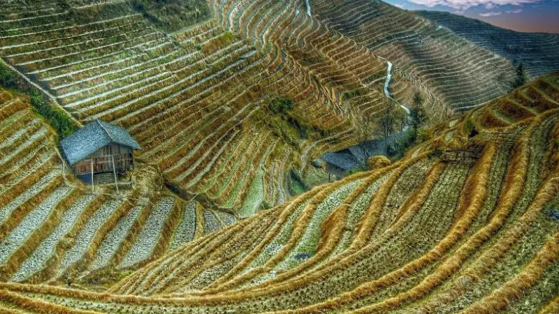 Një teknologji e re në bujqësi për të trajtuar ndryshimet klimatike!