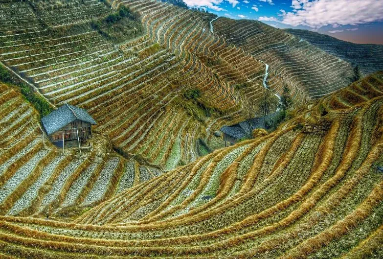 Një teknologji e re në bujqësi për të trajtuar ndryshimet klimatike!