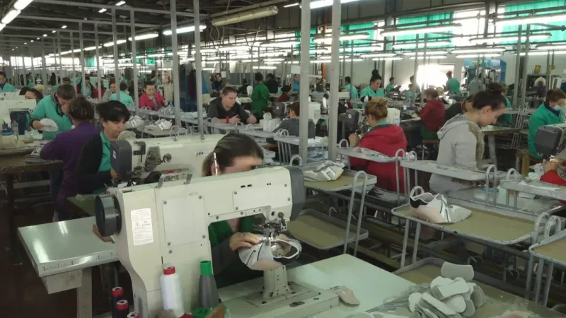 PUNONJESIT E INDUSTRISE frame 175 1280x720