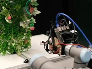 Punon 24 orë pa u lodhur, ky është roboti që është krijuar për të vjelë mjedra