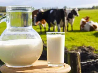 Qeveria dështon me taksën mbi produktet e qumështit – U dëmtuan bizneset, propozohet heqja për hirrën dhe krem qumështin