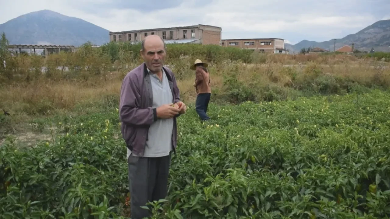 BUJQESIA 1280x720
