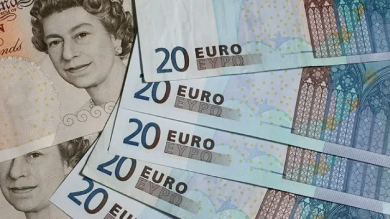 Deeuroizimi nuk funksionoi gjatë 2022, BSH tërheq vëmendjen – Raporti/ Shumë depozita në monedhën e përbashkët, 34.3% e kredive kujdes nga kursi