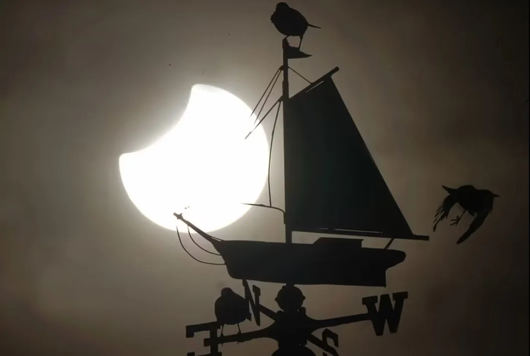 Screenshot 32 2