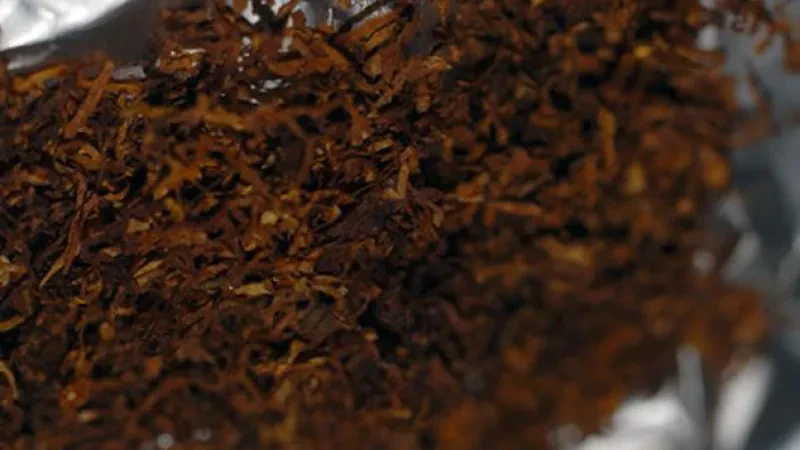 Sa peshë zë duhani i hapur në konsum? – Kërkohet ligj për taksimin e produktit të kultivuar