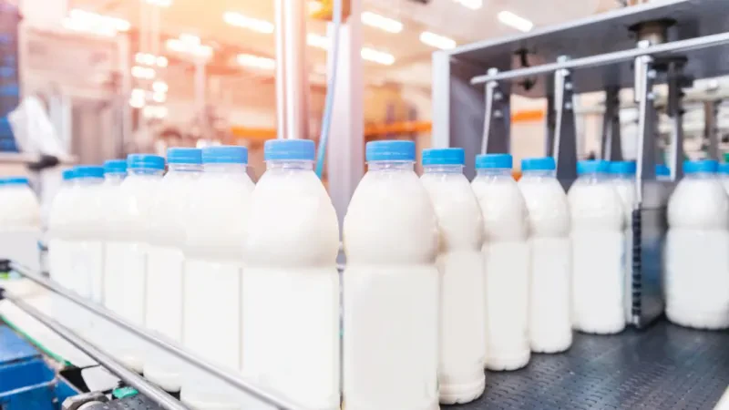 Zero taksë për qumështin pluhur që futet në Shqipëri! Kushti: Vetëm nëse tregohet në etiketën e produktit sasia që është përdorur  