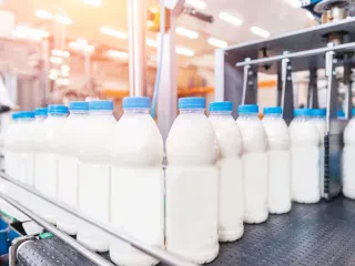 Zero taksë për qumështin pluhur që futet në Shqipëri! Kushti: Vetëm nëse tregohet në etiketën e produktit sasia që është përdorur  