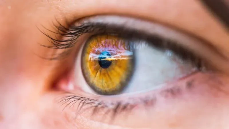 Inteligjenca artificiale rindërton imazhet në 3D nga reflektimi i syve!