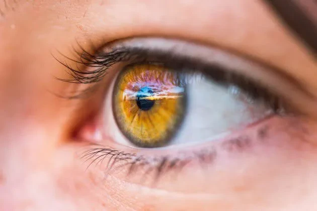 Inteligjenca artificiale rindërton imazhet në 3D nga reflektimi i syve!